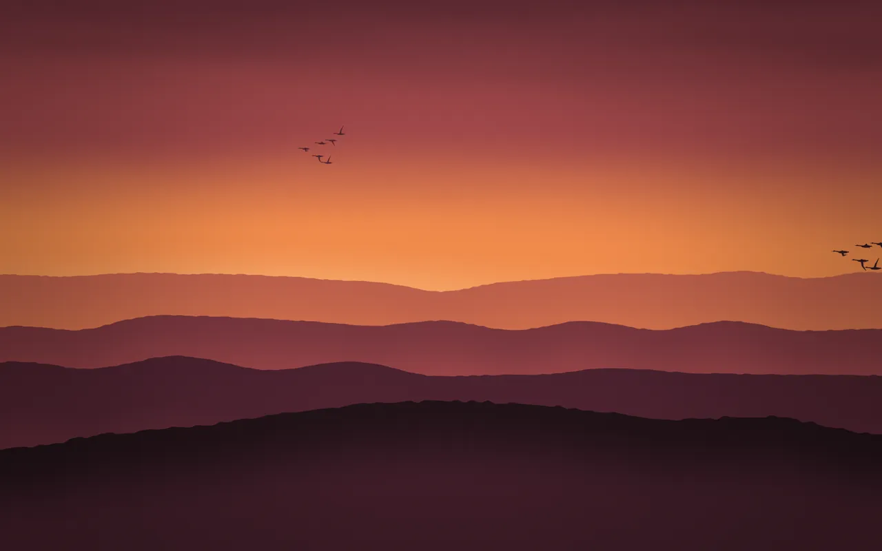 Two small flocks of geese fly over layered ridges that fade from deep plum to orange beneath a glowing sky.