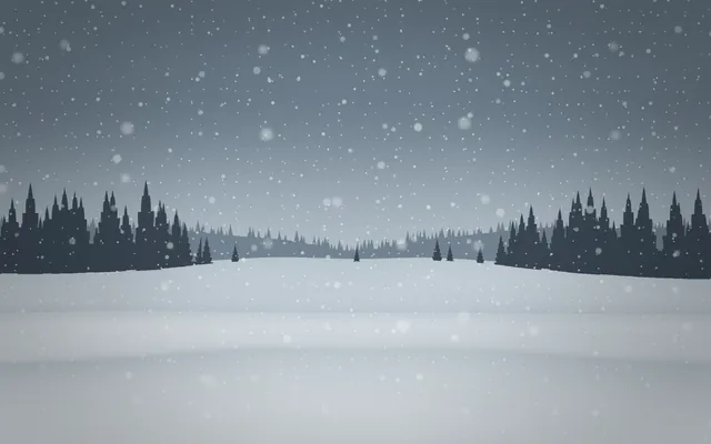 Snow falls over a pale snowfield with dark fir trees on both sides under a gray overcast sky.